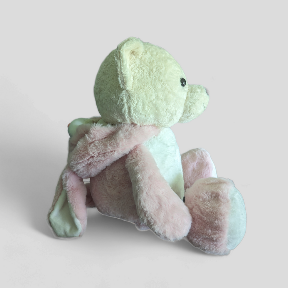 Thumbnail: Stash Away Bear  - Bunny