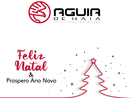 Recesso - Boas Festas!