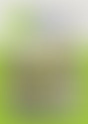 アーロムワイナリー　あびらマルシェ