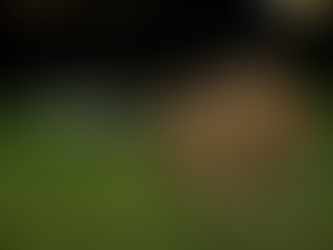 Welcome to our new website!