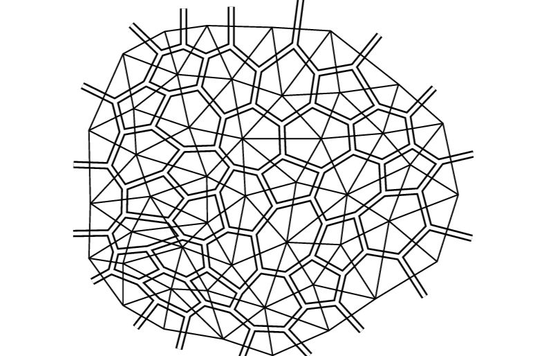 Fragment-of-planar-diagram-in-the-matrix-model-double-lines-and-the-corresponding-dual_edi