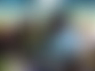 Seguridad, agua y orden: prioridades de verdad 🤝🏼🇸🇴#AlfredoALaOrden #PapiALaOrden #UnidadTotal #PartidoNacional #FirmesXSiguatepeque #PNH