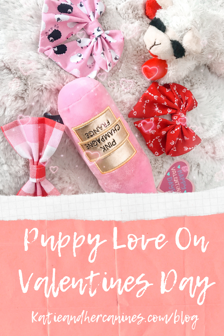 dog valentines day