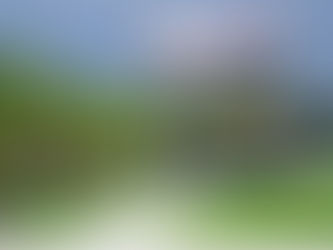 Auto Loans With No Credit Checks: The Quick and Economical Car Financing Alternative