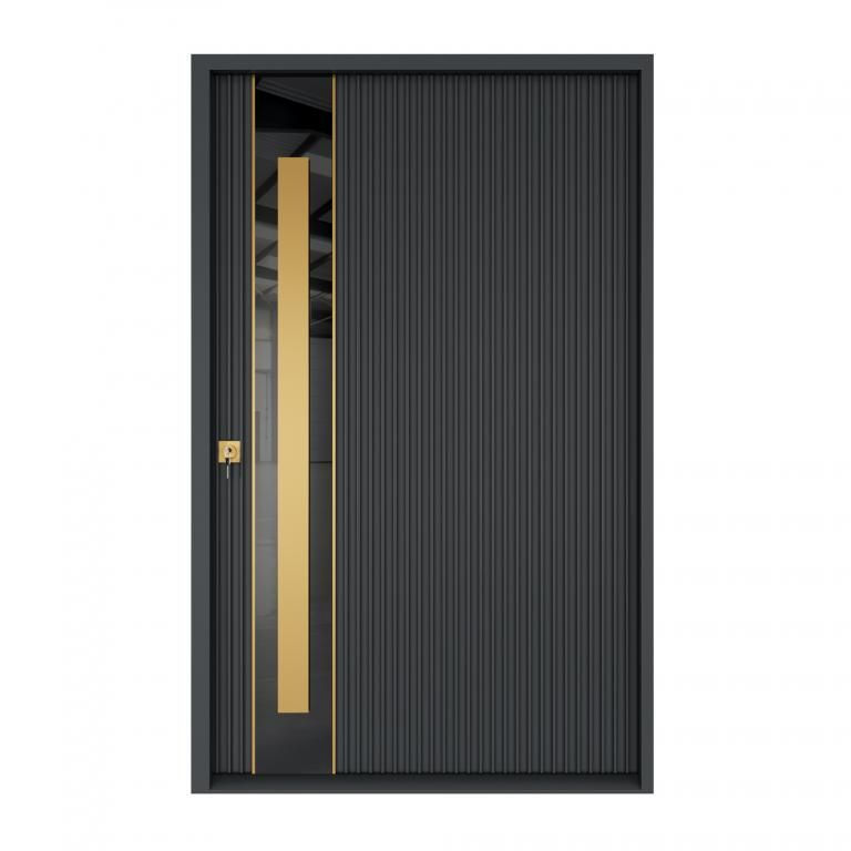 Homenetics Nova Royal Series Style 009 pivot wrought iron door with Aquatex glass