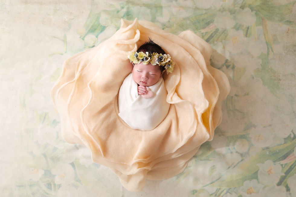 kinmokusei_newborn photo_flower backdrop