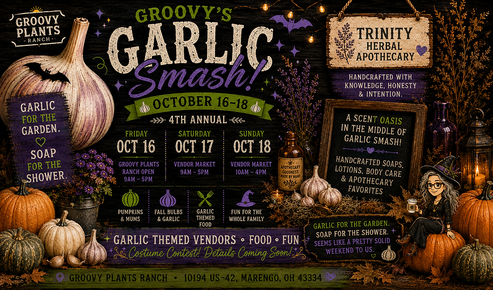 Trinity Herbal Apothecary at Groovy’s Garlic Smash 🧄🎃