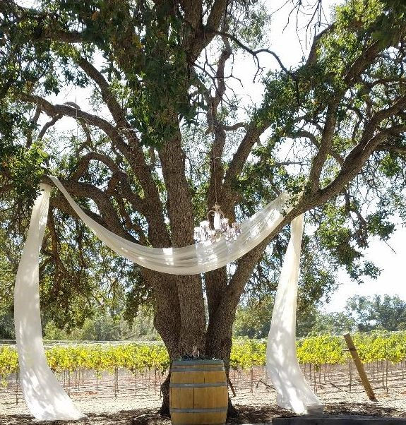 Tree Draping $150 per Event