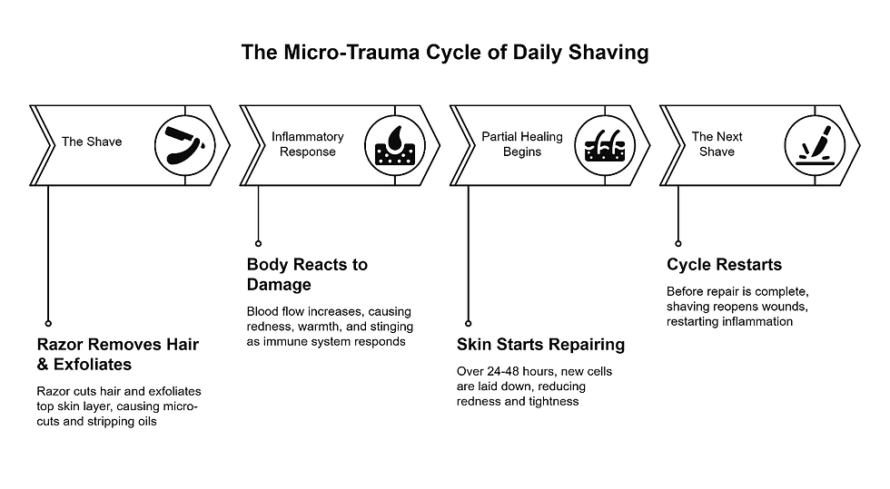 Infographic showing the four-stage micro-trauma cycle of daily shaving: razor exfoliation causing micro-cuts, inflammatory response with redness and stinging, partial skin healing over 24-48 hours, and the cycle restarting with the next shave before repair is complete.