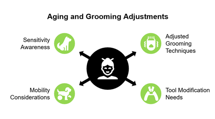 dog grooming
