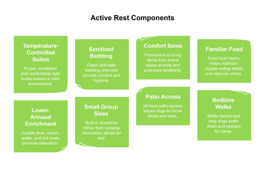 Infographic explaining active rest for dogs with comfortable suites, bedding, familiar food, patio access, and calming enrichment.