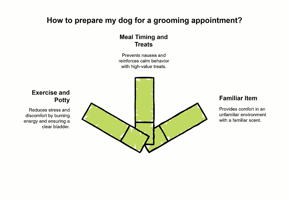Infographics about dog grooming preparation tips.