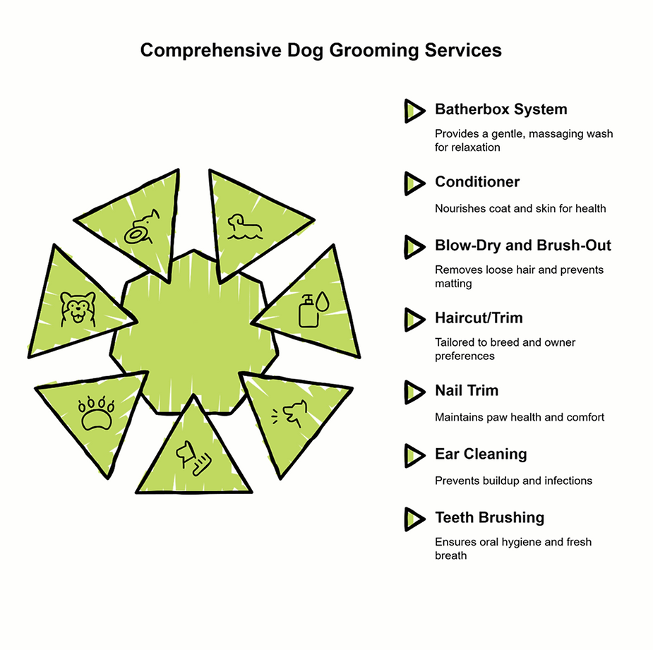 Comprehensive dog grooming services infographic showing icons for bath, conditioner, blow-dry and brush-out, haircut or trim, nail trim, ear cleaning, and teeth brushing.