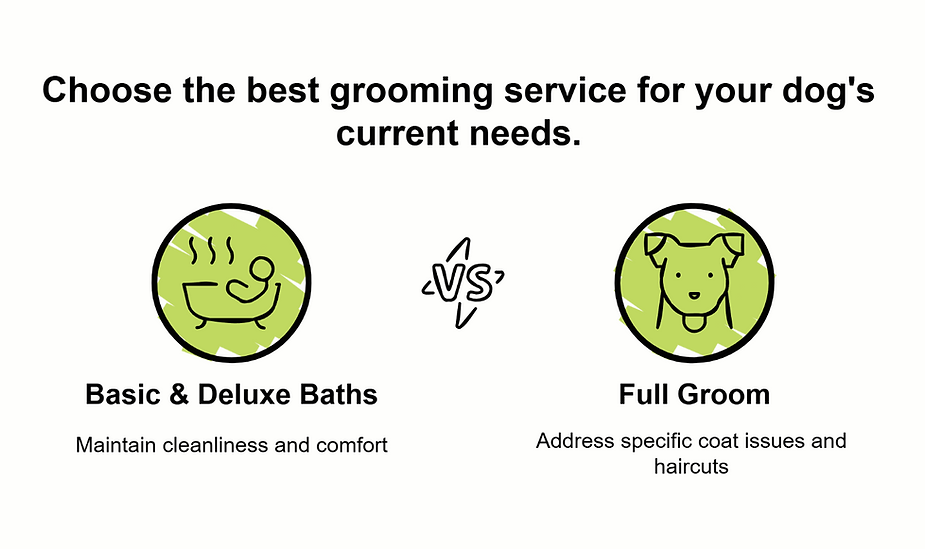 Infographics Comparison chart showing two grooming options — Basic & Deluxe Baths for cleanliness vs. Full Groom for coat care.