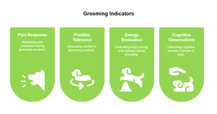 dog grooming mckinney