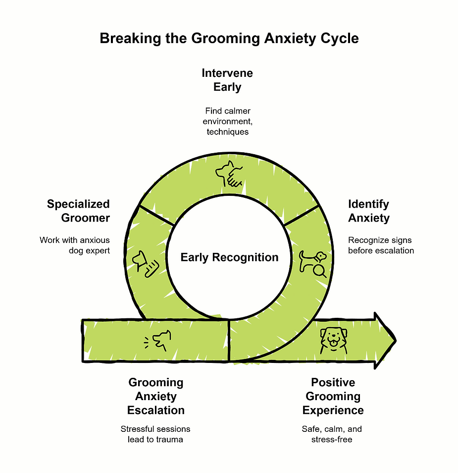 Dog grooming infographic showing steps to break grooming anxiety cycle for a calm, positive grooming experience.