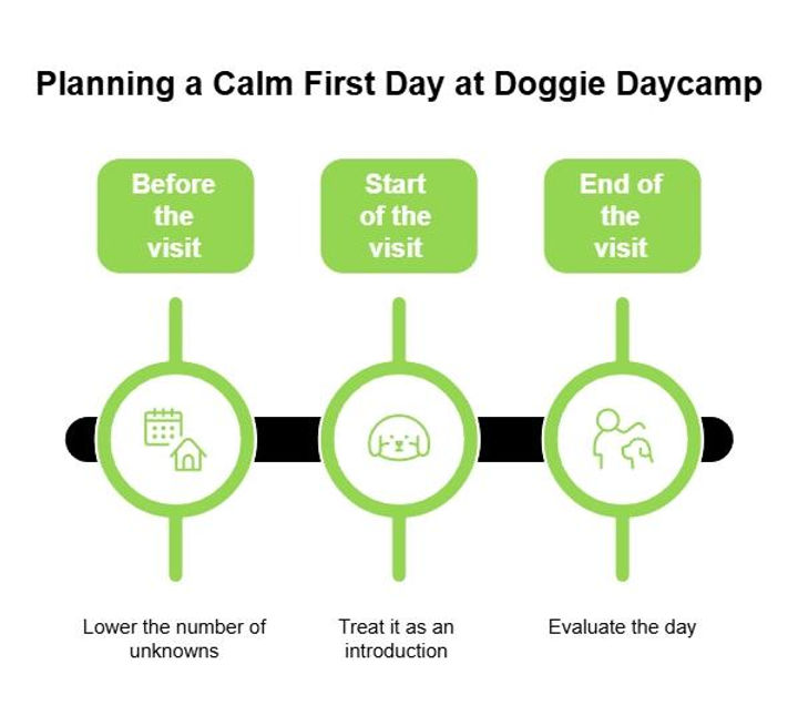Infographic titled “Planning a Calm First Day at Doggie Daycamp” showing three steps: before the visit, start of the visit, and end of the visit.
