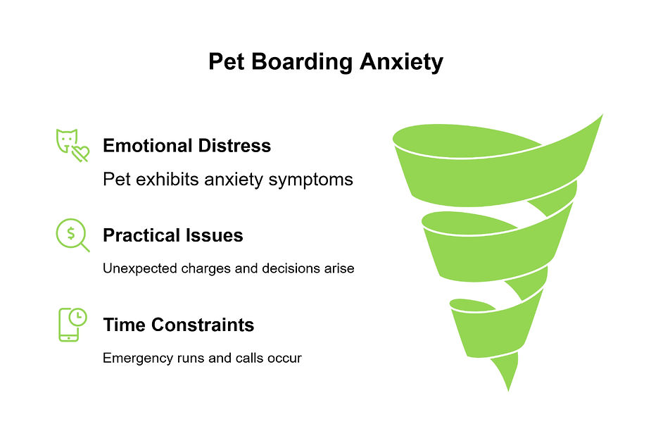 Structured routines and low-stress handling reduce pet anxiety, prevent issues, and improve boarding experiences.