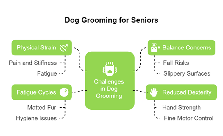 dog grooming in prosper tx