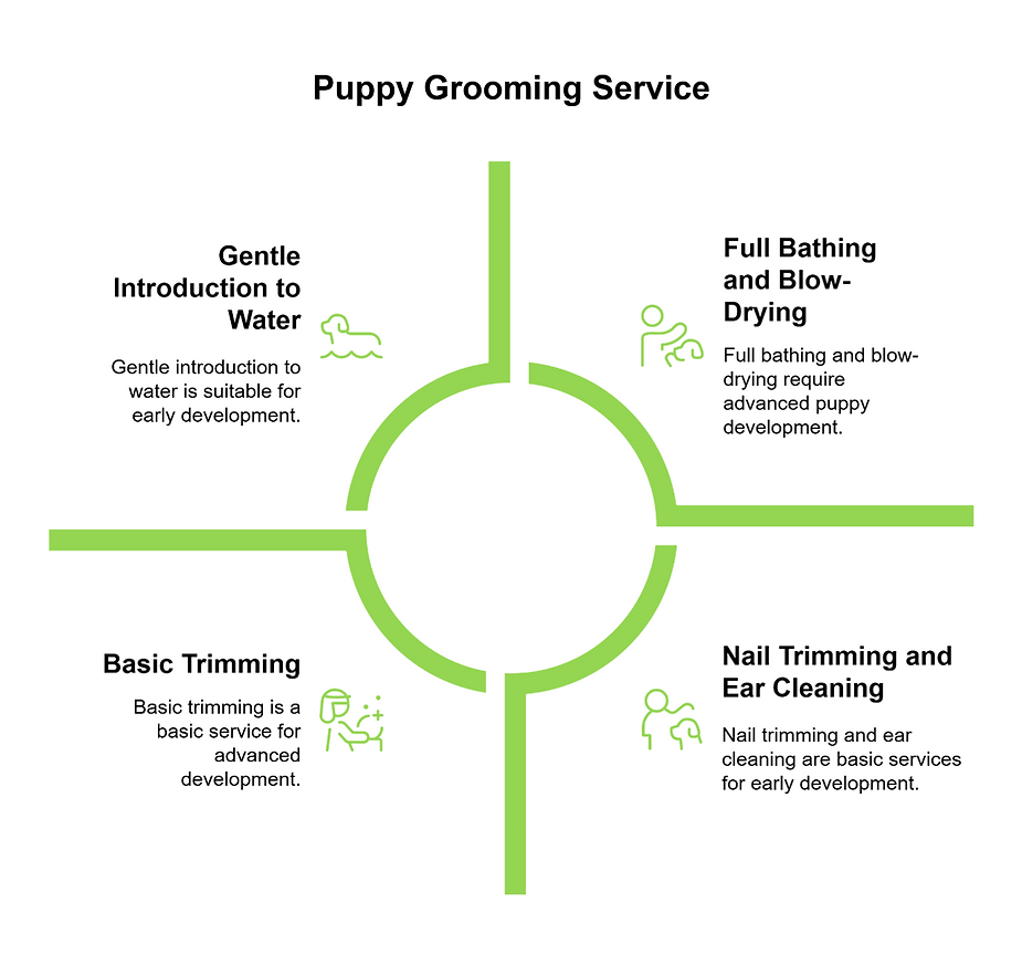 dog grooming mckinney