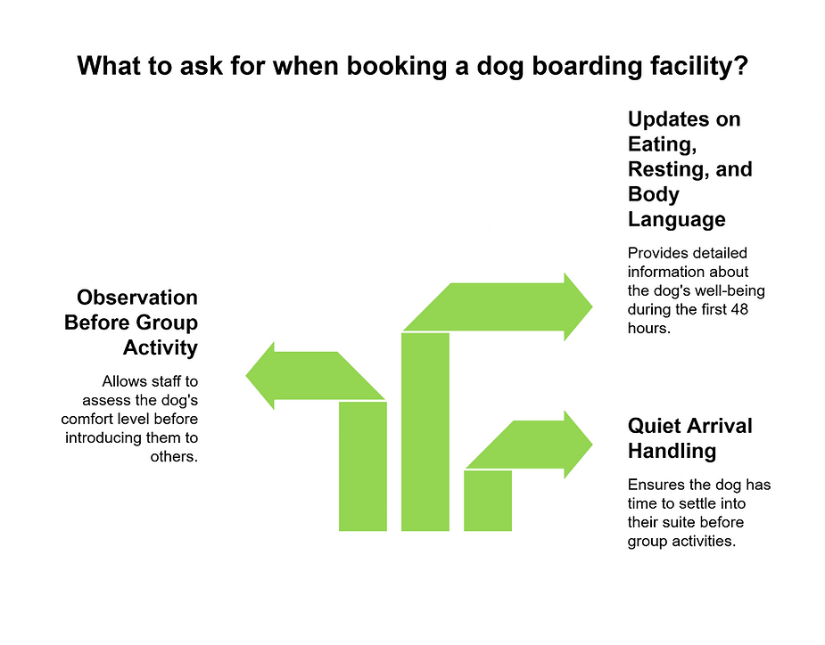 Infographic showing what to ask when booking a dog boarding facility, including quiet arrival handling, observation before group play, and updates on eating, resting, and body language during the first 48 hours.