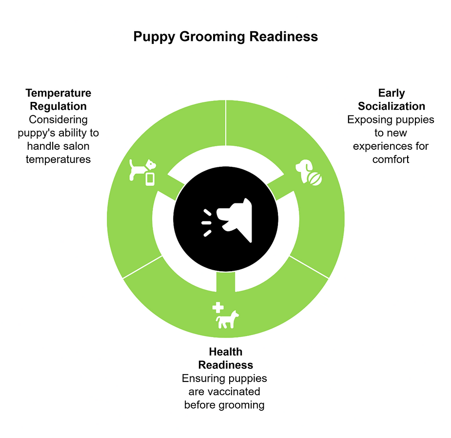 dog grooming mckinney