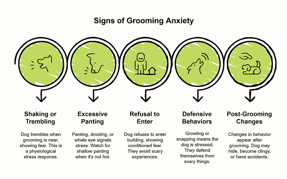Infographic showing signs of dog grooming anxiety: shaking, panting, refusal to enter, defensive behaviors, and post-grooming changes.