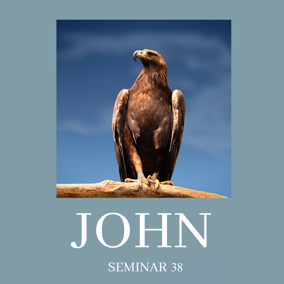 Johns Gospel Part 38