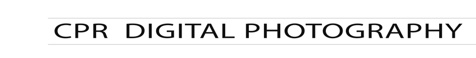 logo plain black.png