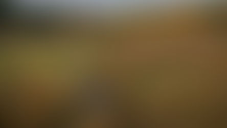 Inventaire des zones humides du SAGE Allier aval : consultation du public