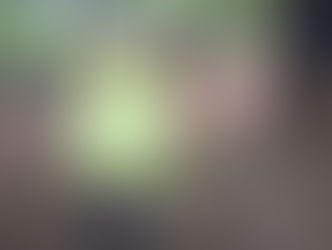 Paaseitjes gaan zoeken in het park met de ganse klas.