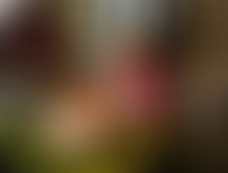 Mijn 6de verjaardag.