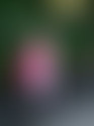 Up naar het eerste leerjaar!