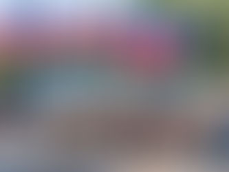 Six White Horses asked to lead the parade in Ruidoso By: Annabelle Smallwood