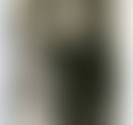 A Thousand Words By: Dr. Tim Chandler