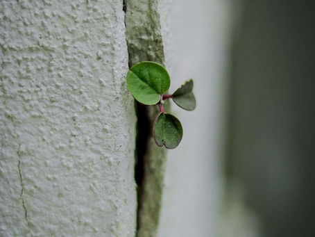 Happiness Is Full of Cracks