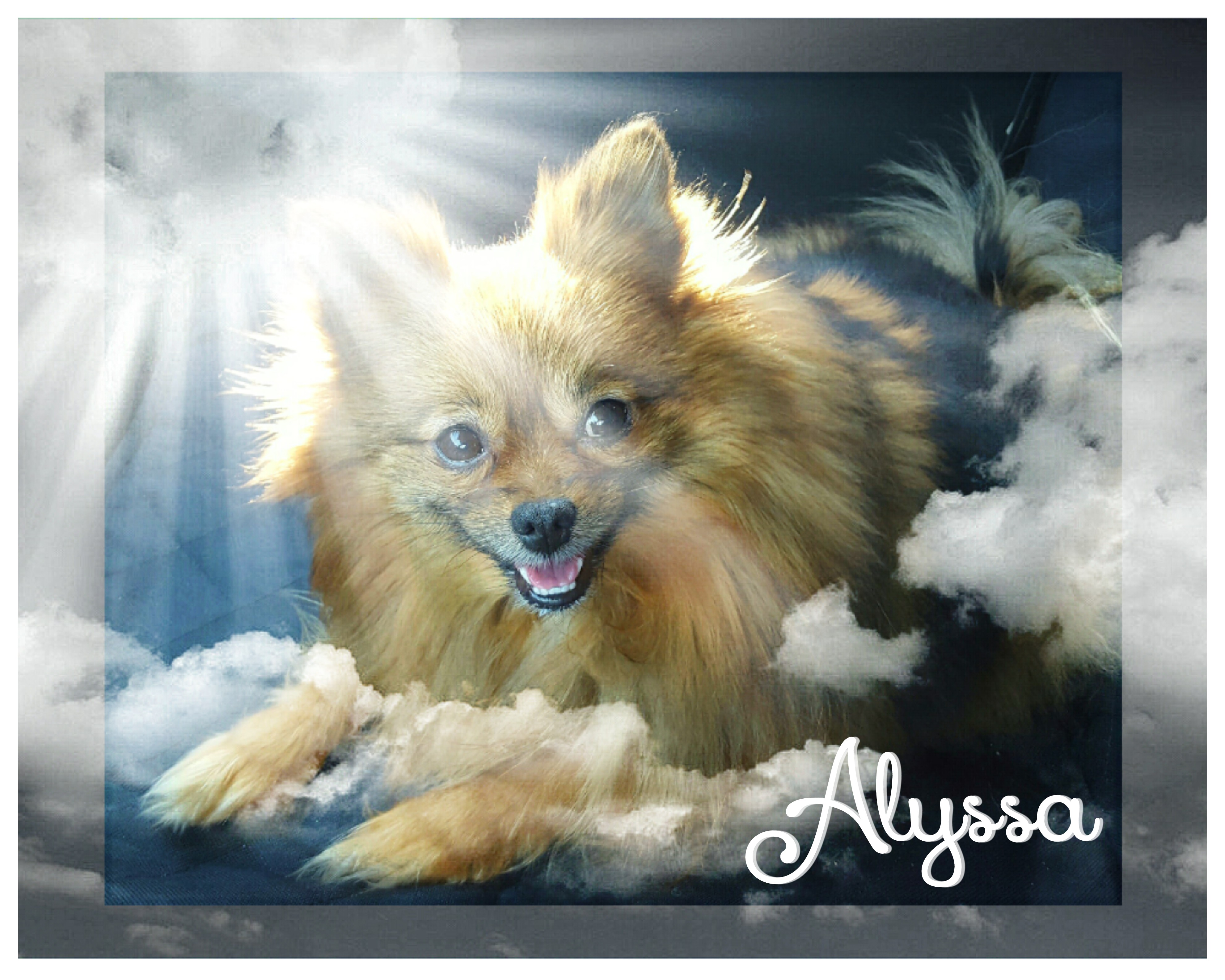 Alyssa