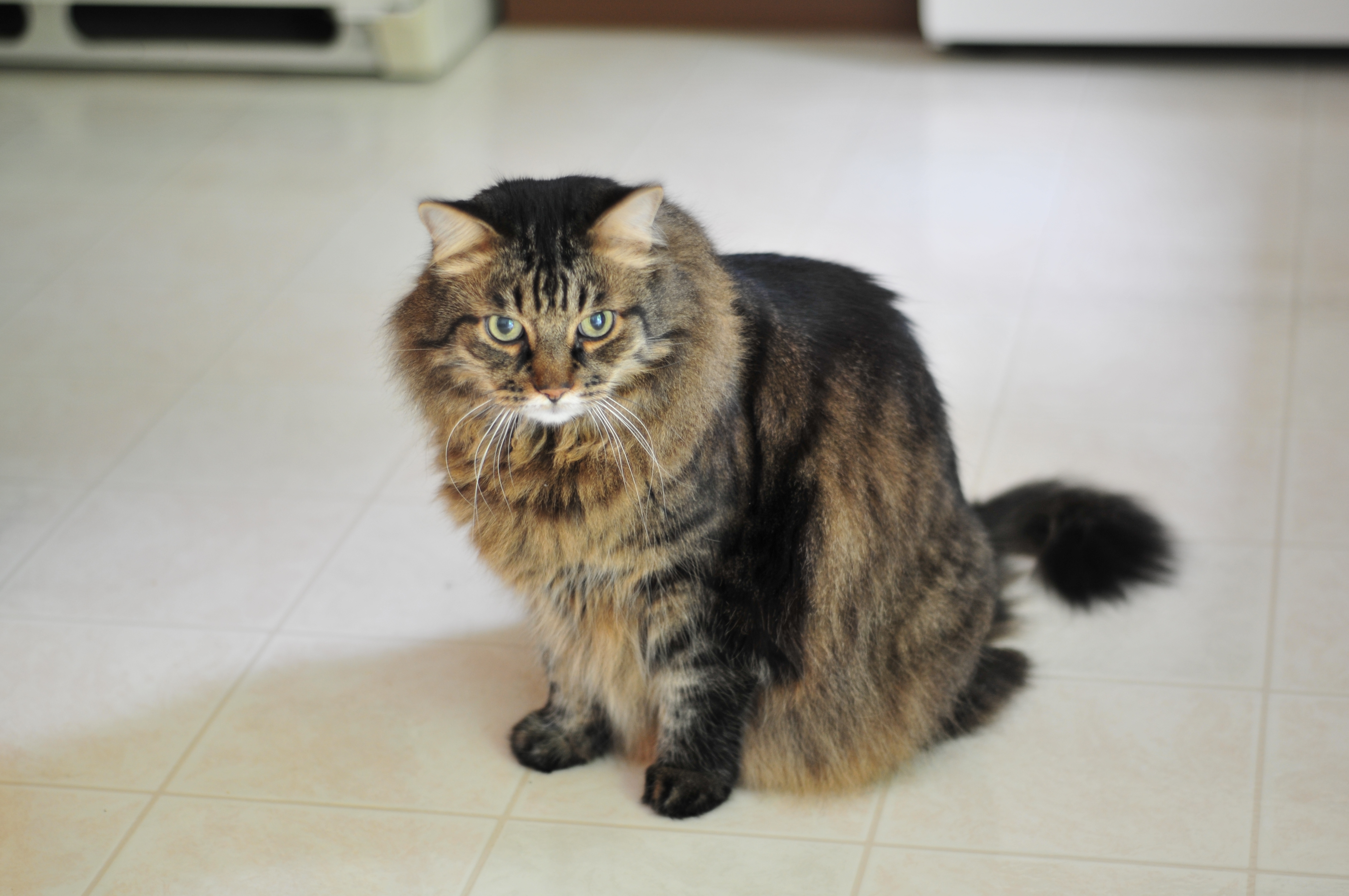 Hunter