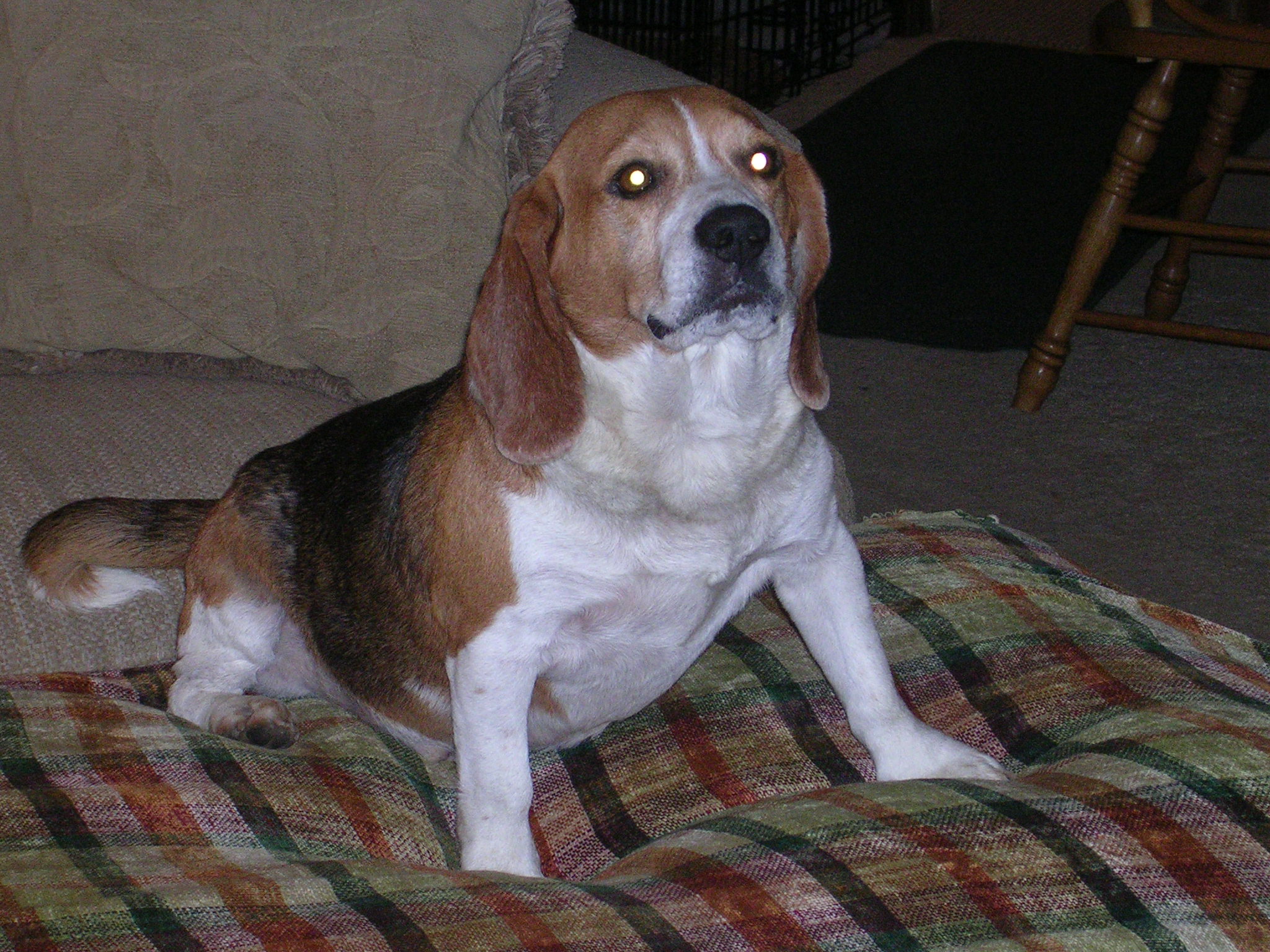Charlie