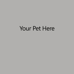Your Pet Here
