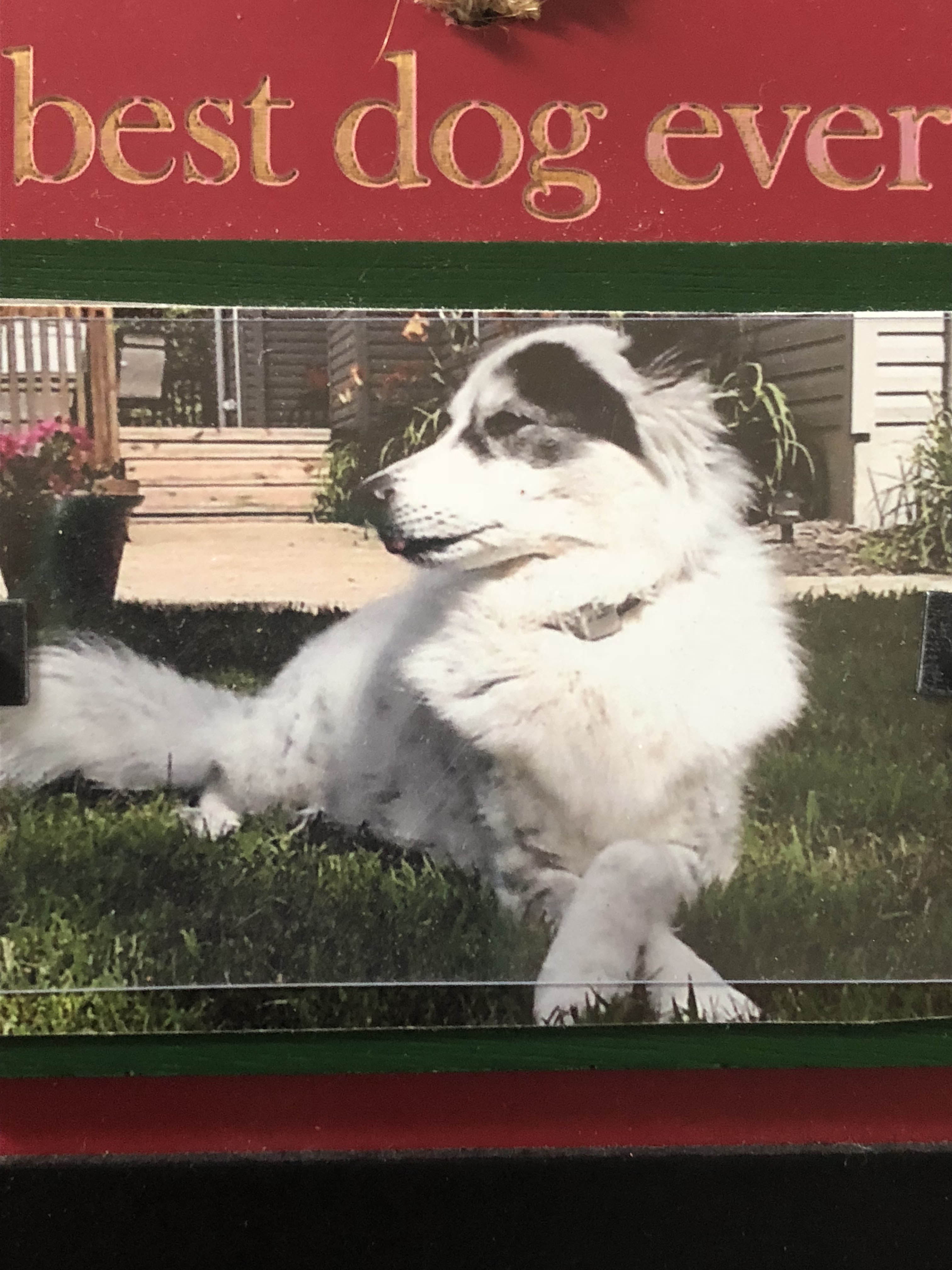 Sadie