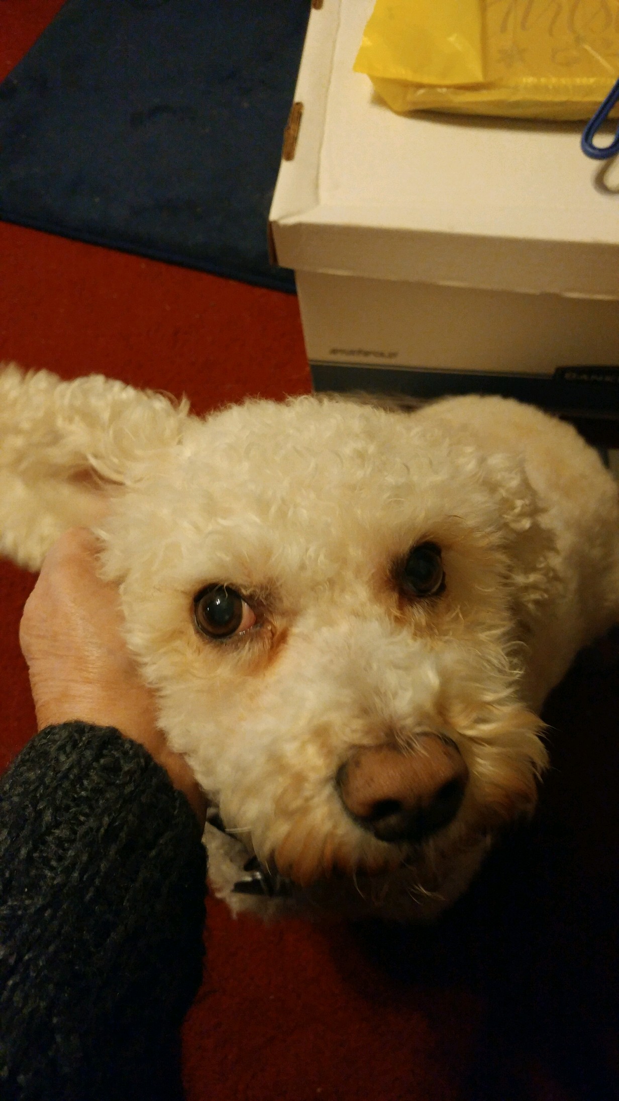 Jack