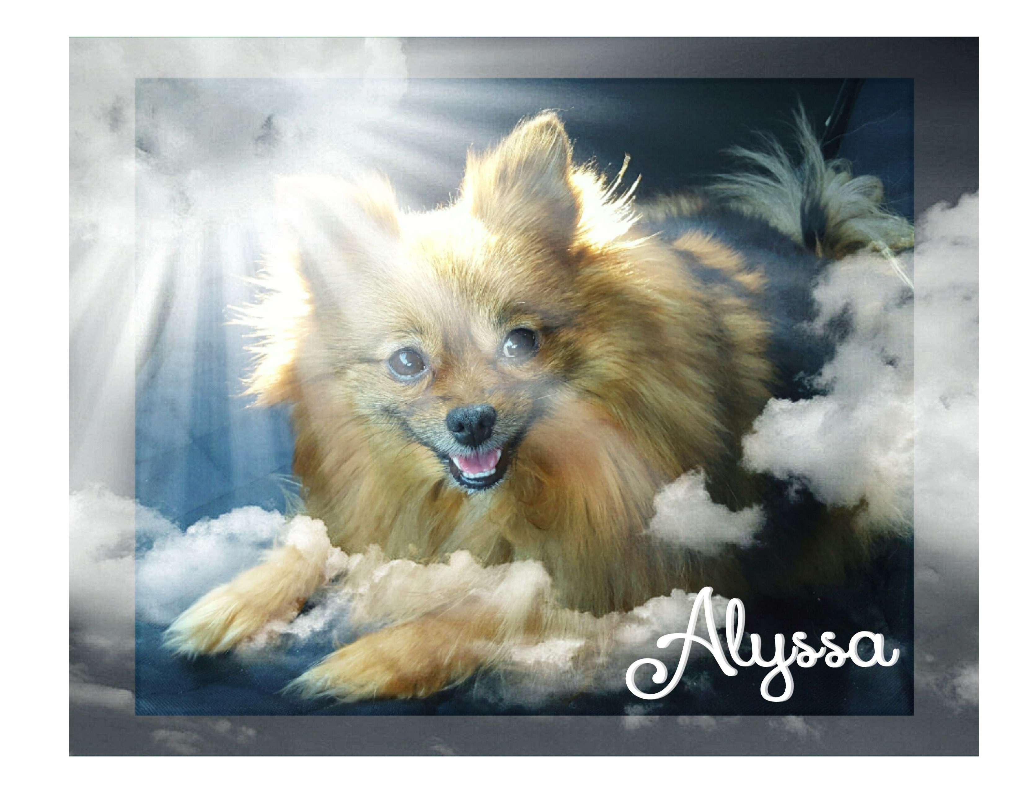 Alyssa