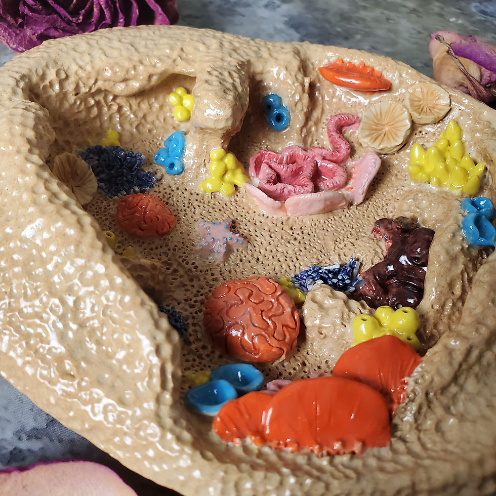 Thumbnail: Coral Reef Miniature Scenery