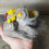 Thumbnail: Blue Frog with Yellow Flowers