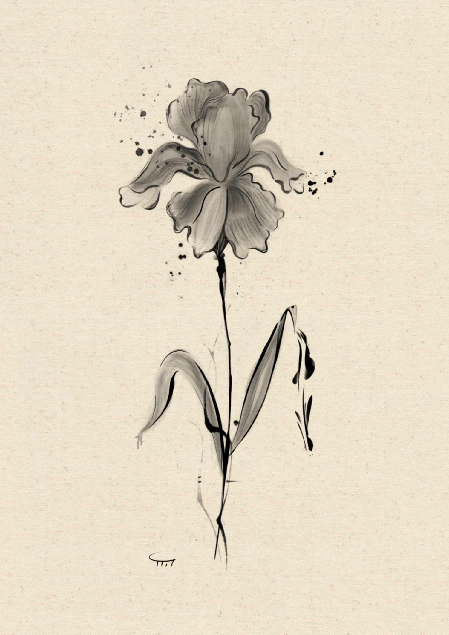 אירוס אבסטרקט