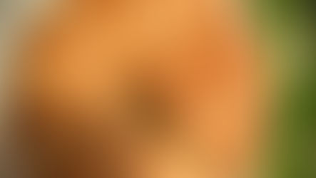 Good people, Great Pies, Provoking cinema & Exciting theatre make a pretty good week.