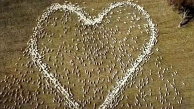 Tears, tributes, frugly fruit & Cruella revealed...a week that was.