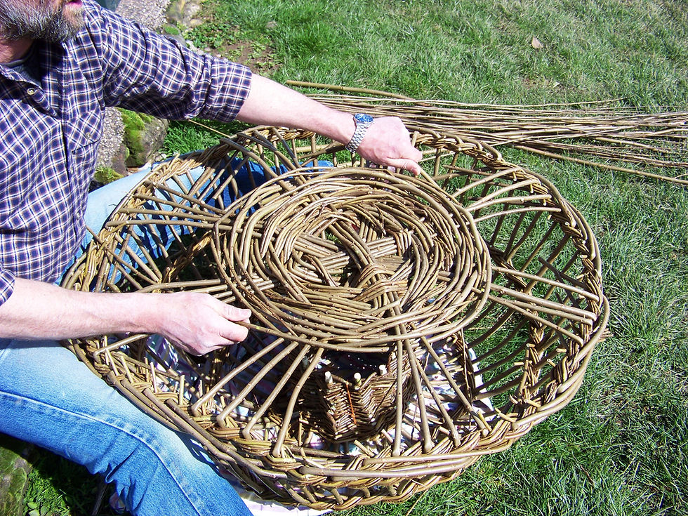 David beginning the base