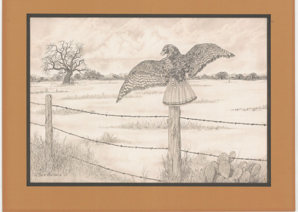 Buzzard Fanning.jpg